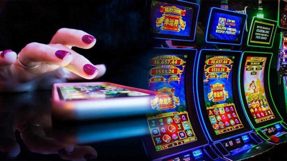167 bet login